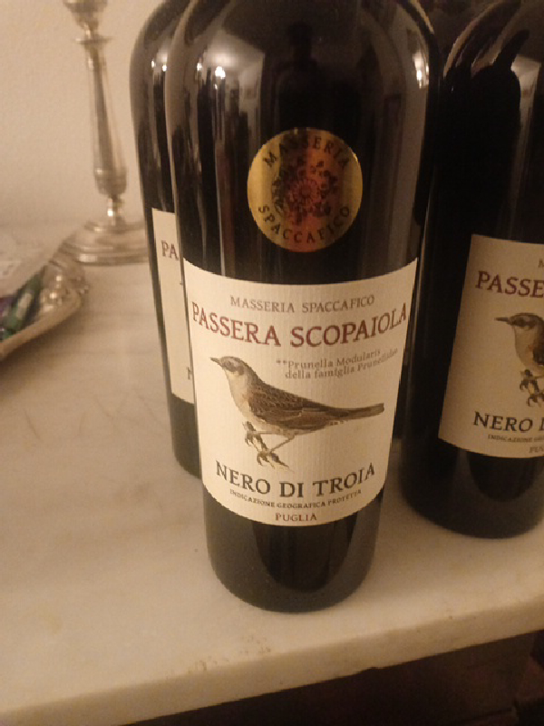 Passera Scopaiola - Image 1