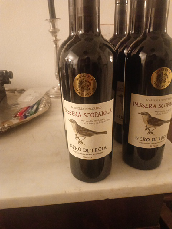 Passera Scopaiola Nero di Troia - Image 1