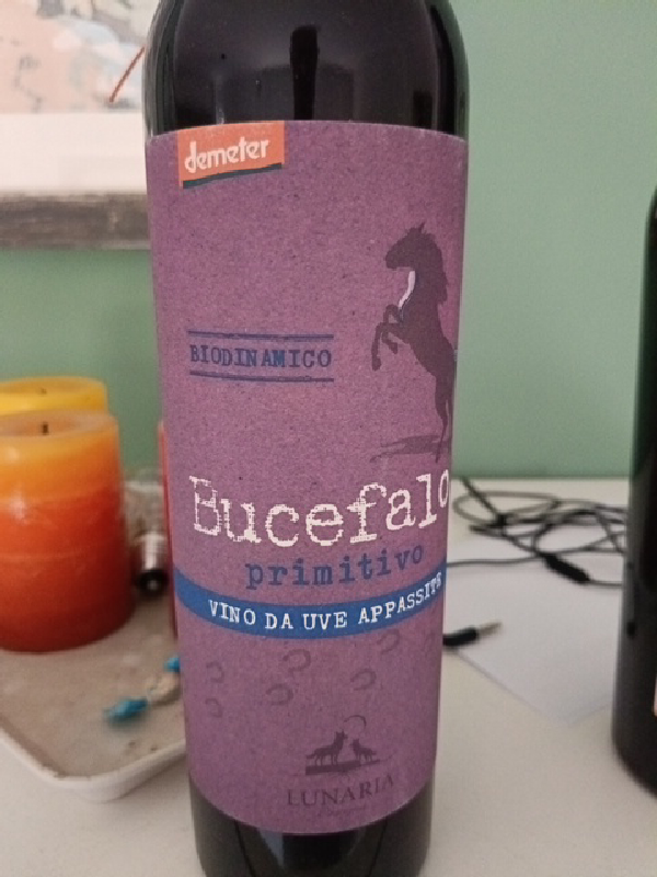 Bucefalo Primitivo Vino da Uve Appassite - Image 1