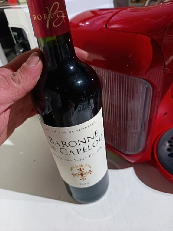 Baronne de Capelou - Image 1