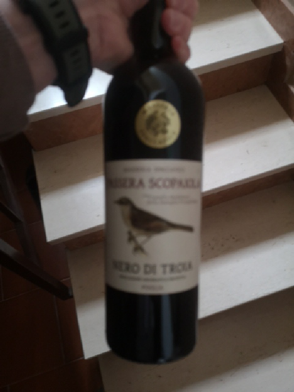 Riserva Scoparella - Image 1