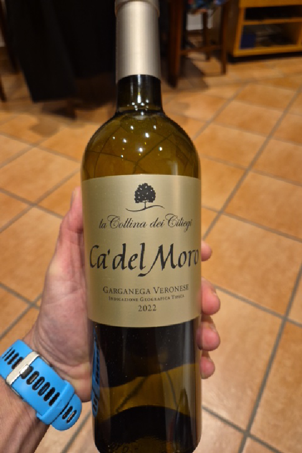 Ca' del Moro Garganega Veronese IGT - Image 1