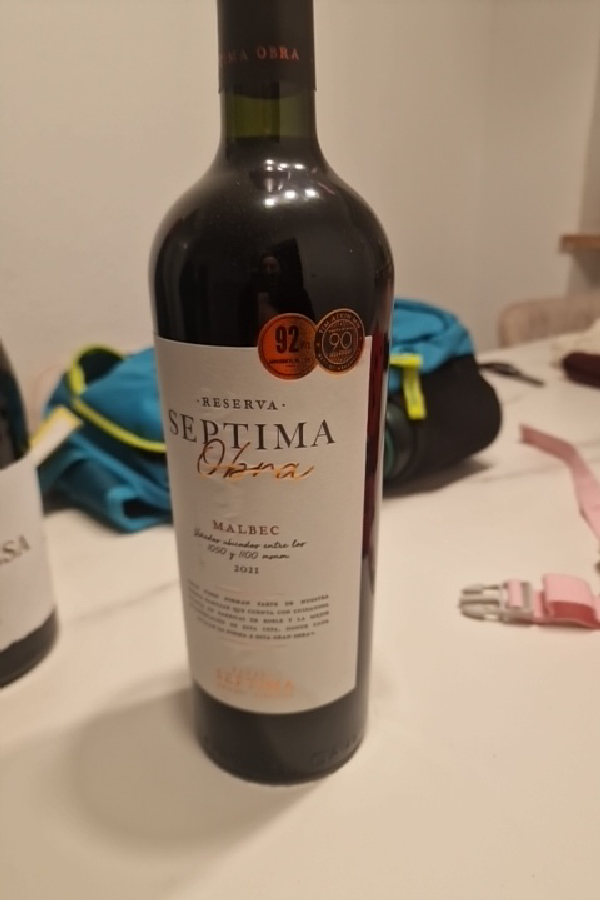 Septima Obra Malbec - Image 1