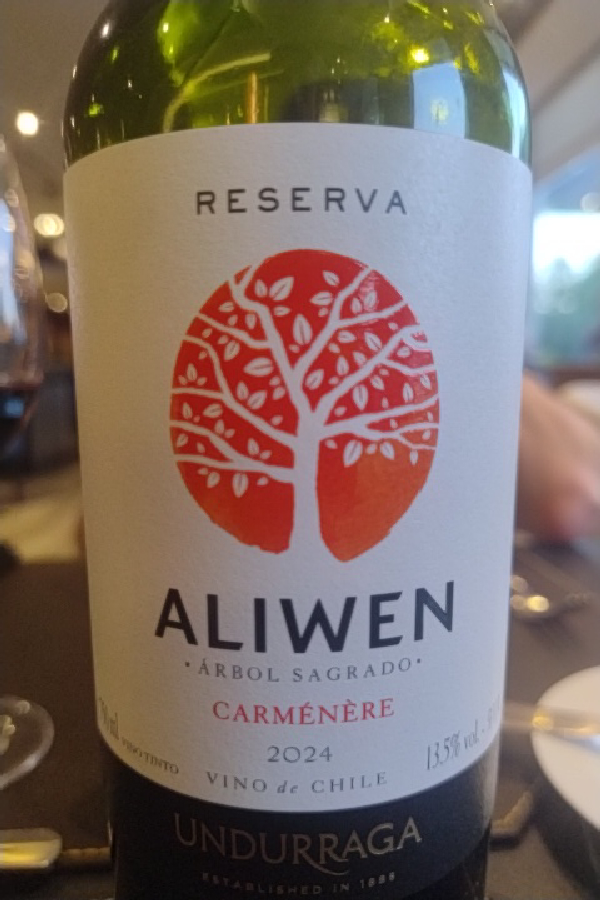 Aliwen Reserva Carménère - Image 1