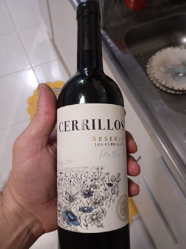 Reserva Los Cerrillos Malbec - Image 1