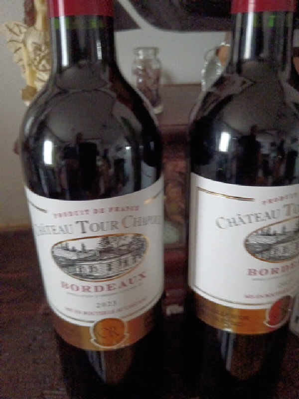 Château Tour Chapitre Bordeaux - Image 1