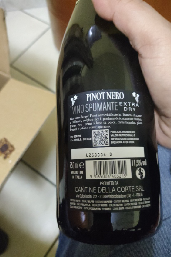 Pinot Nero Vino Spumante Extra Dry - Image 1