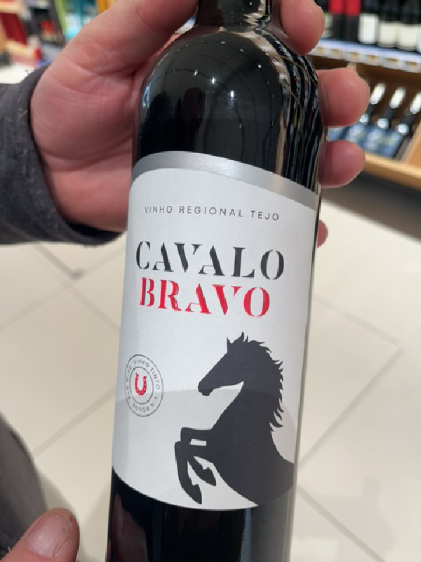 Cavalo Bravo - Image 1