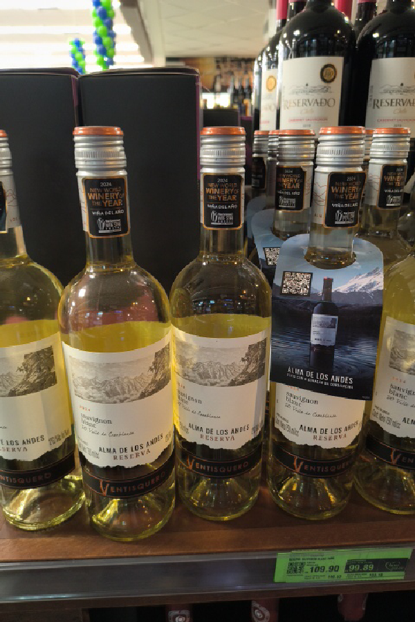 Alma de Los Andes Reserva Sauvignon Blanc - Image 1