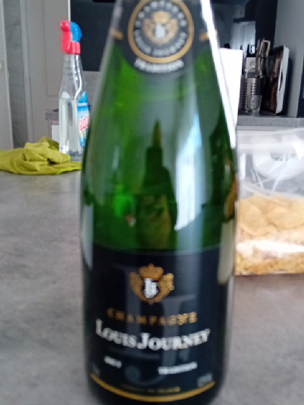 Louis Journey - Image 1