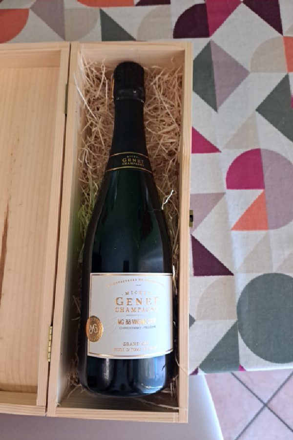 MG BB Vintage 2008 - Image 1