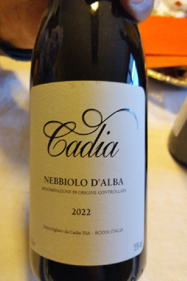 Nebbiolo d'Alba - Image 1