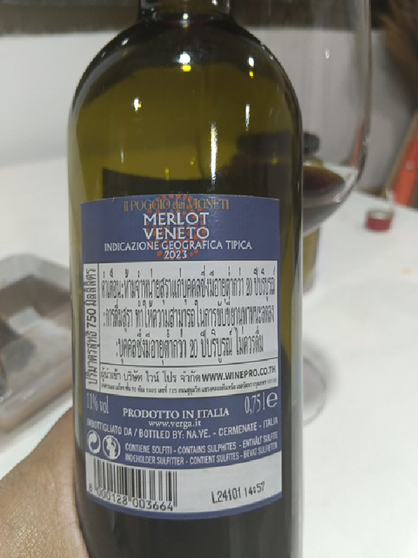 Merlot Veneto - Image 1