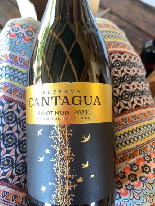 Reserva Cantagua Pinot Noir - Image 1