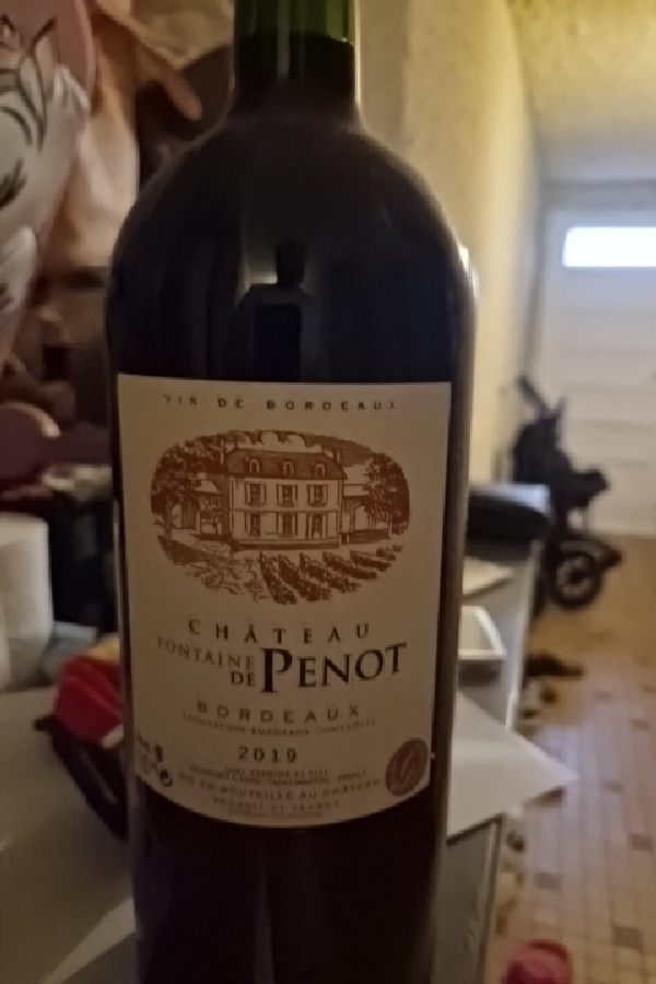 Château Fontaine de Penot - Image 1