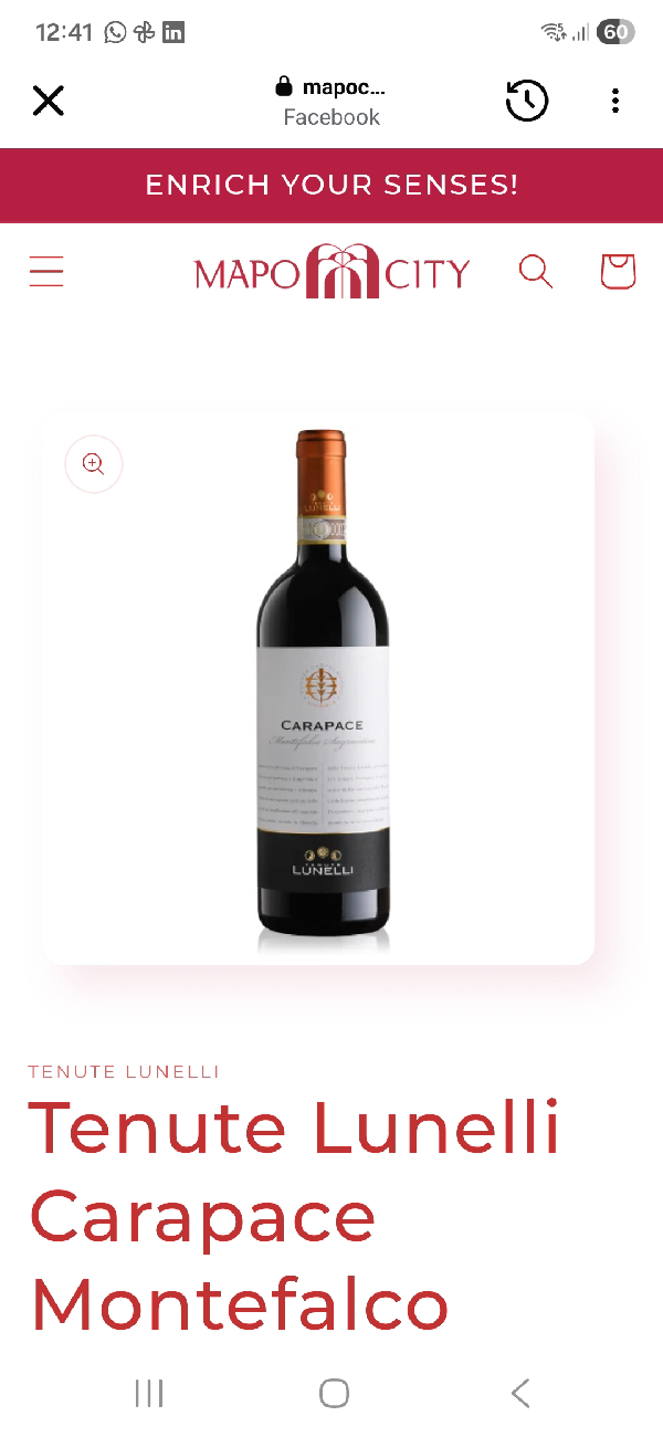 Carapace Montefalco - Image 1