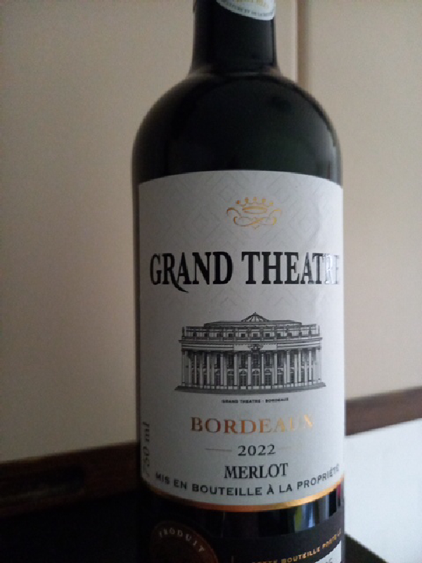 Grand Theatre Bordeaux - Image 1