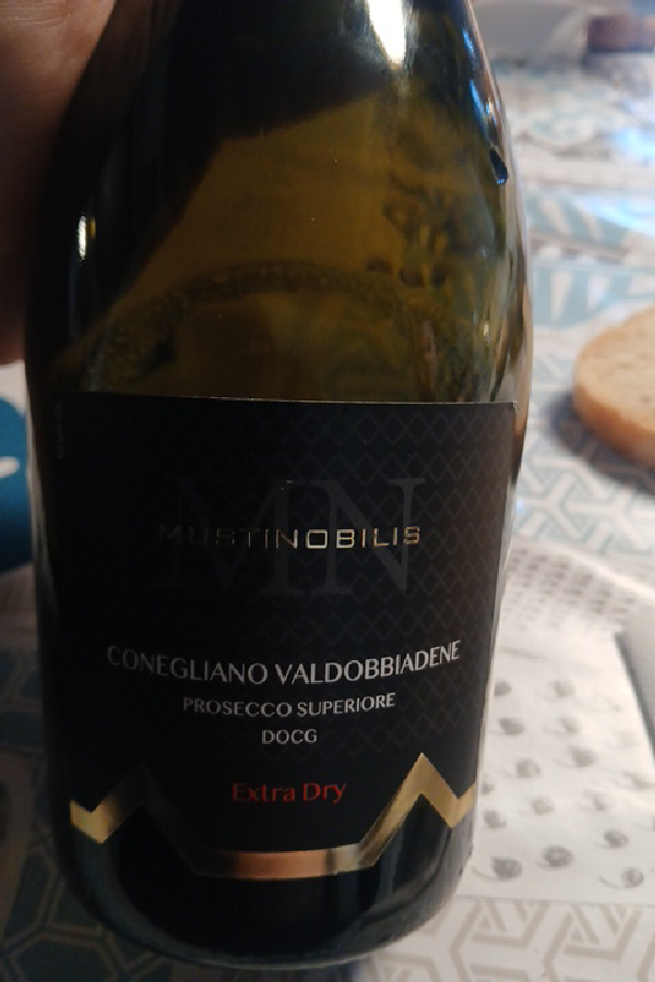 Conegliano Valdobbiadene Prosecco Superiore DOCG Extra Dry - Image 1
