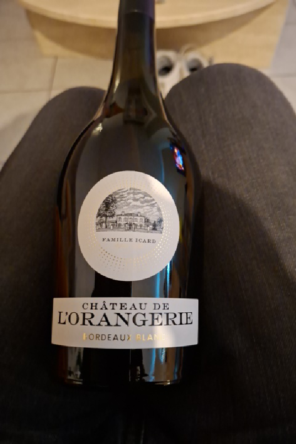 Château de L'Orangerie Bordeaux Blanc - Image 1