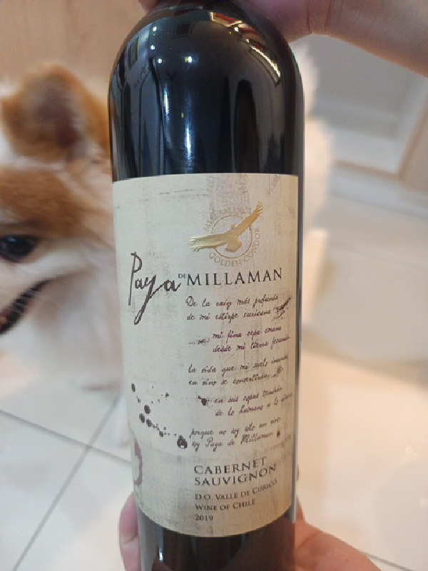 Paya de Millaman Cabernet Sauvignon - Image 1