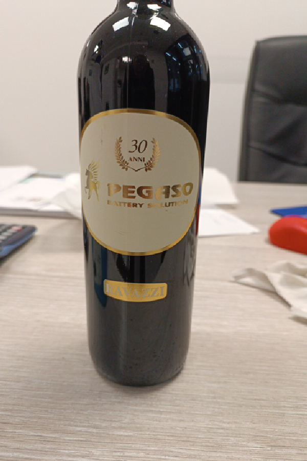 Pegaso Battery Solution - Image 1