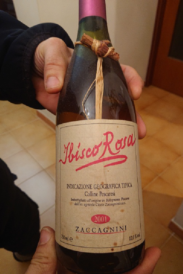 Ibisco Rosa - Image 1