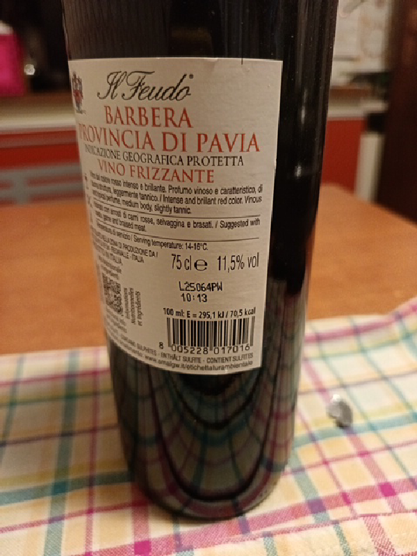 Barbera Provincia di Pavia Vino Frizzante - Image 1