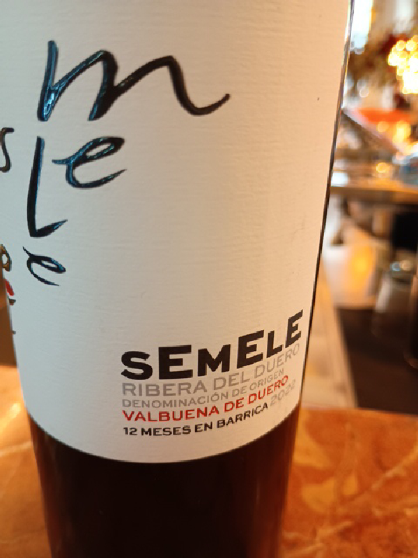 Semele Valbuena de Duero - Image 1