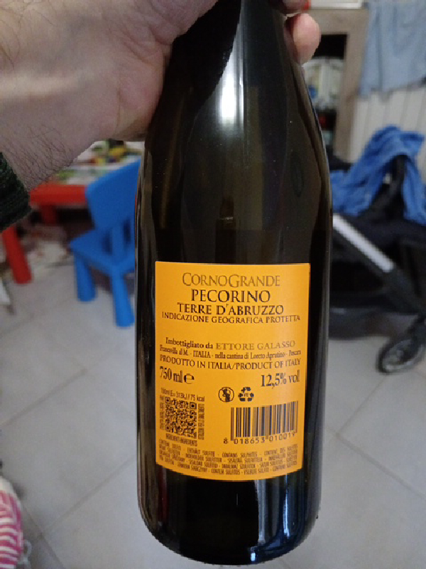 Cornogrande Pecorino Terre d'Abruzzo - Image 1