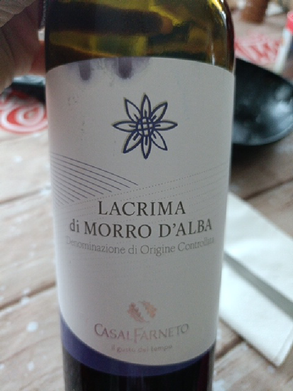 Lacrima di Morro d'Alba - Image 1