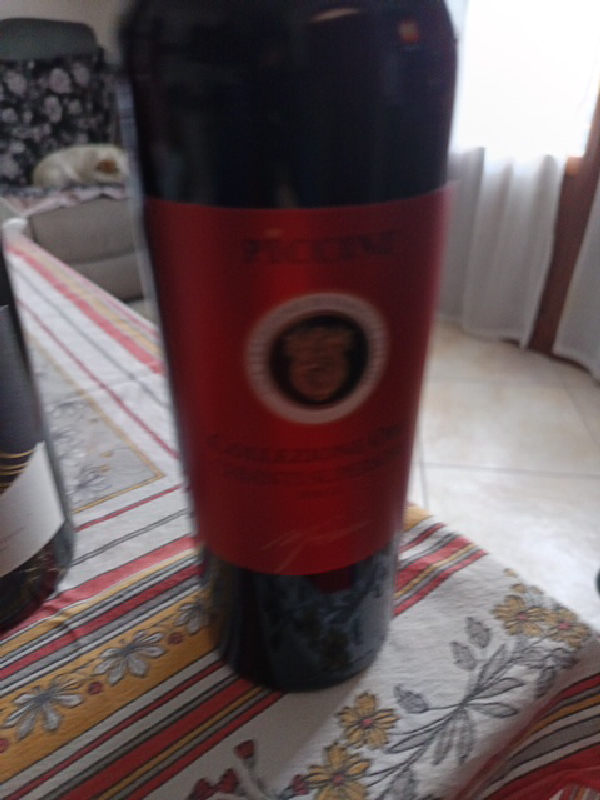 Castellizio Chianti Classico Riserva - Image 1