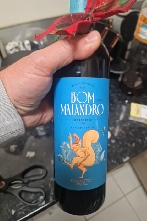 Bom Malandro Douro DOC - Image 1