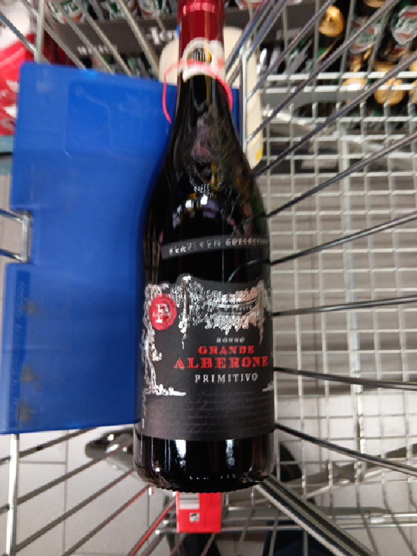 Grande Alberone - Image 1