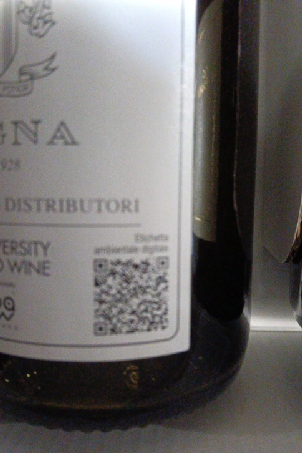 Cantina di Soave Rocca Sveva Valpolicella Ripasso Classico Superiore - Image 1