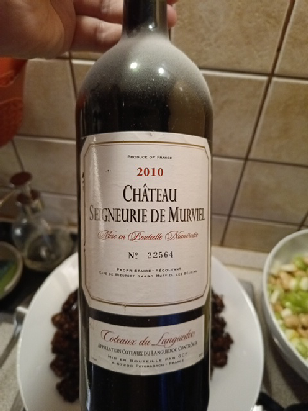 Château Seigneurie de Murviel - Image 1