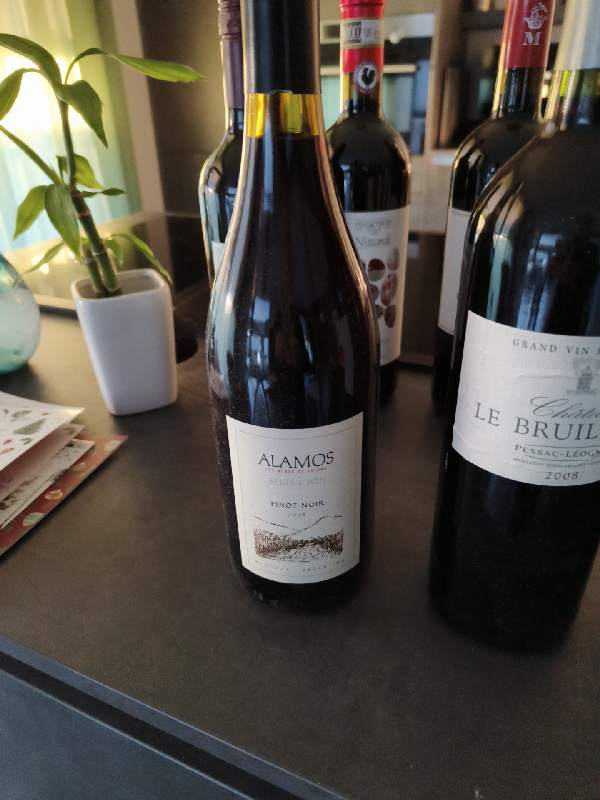 Alamos Selección Pinot Noir - Image 1