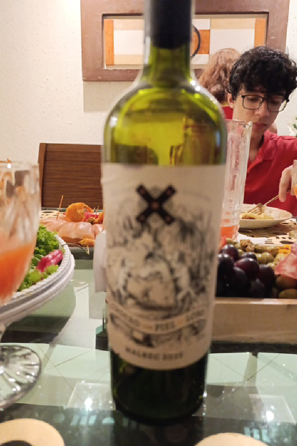 Ricardo Santos Fuegos Malbec - Image 1