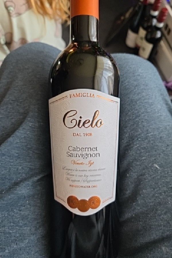 Cabernet Sauvignon Veneto IGT - Image 1