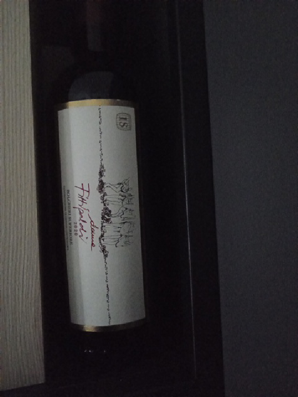 Donna Filippaidi 2020 - Image 1