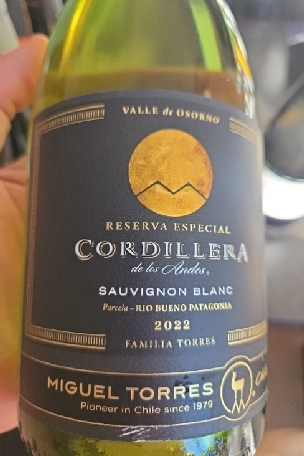 Cordillera de los Andes Reserva Especial Sauvignon Blanc - Image 1