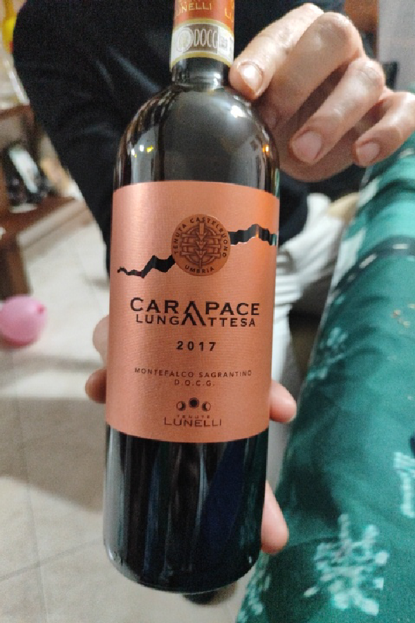 Carapace Lungattesa - Image 1