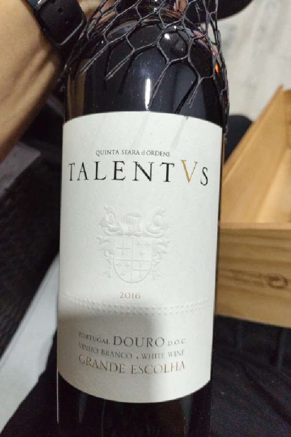 Talentvs Grande Escolha - Image 1