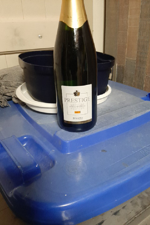 Prestige Blanc de Blancs Brut - Image 1