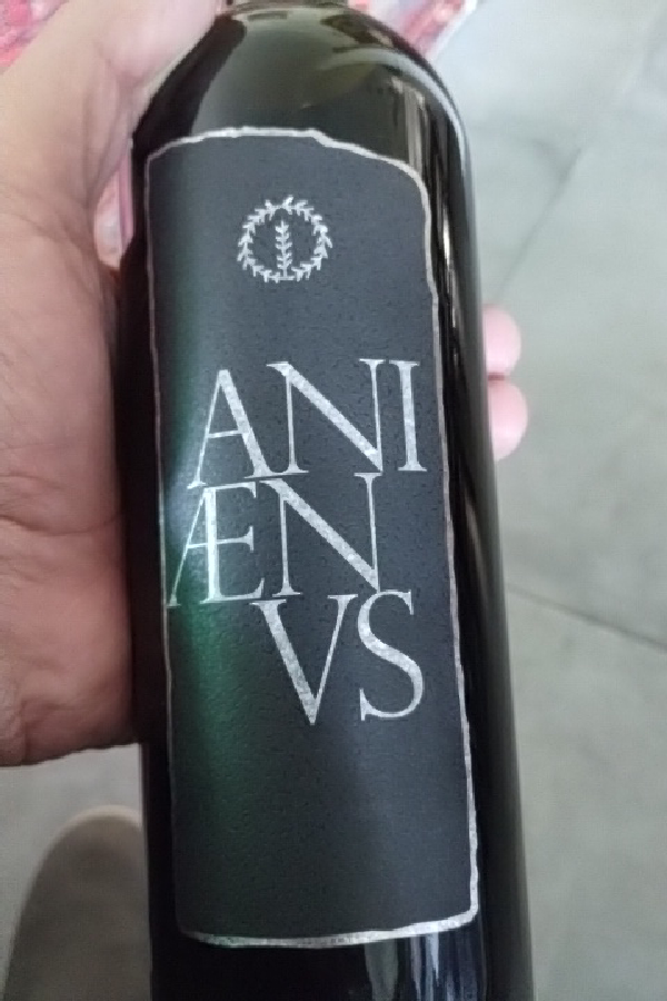 Anienvs - Image 1