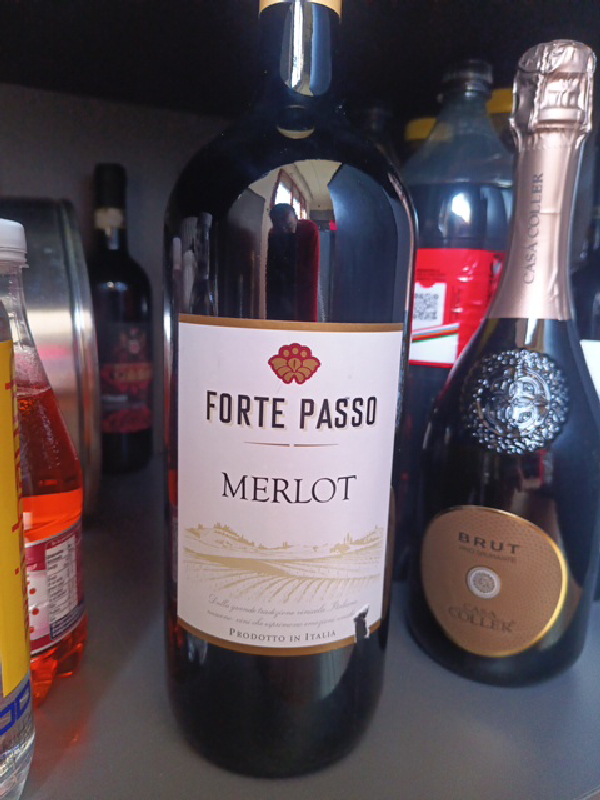 Forte Passo Merlot - Image 1