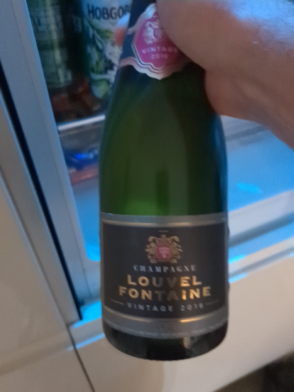 Champagne Louvel Fontaine Vintage 2016 - Image 1