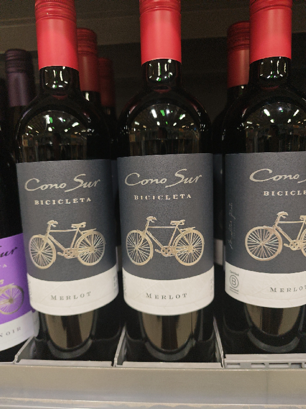 Bicicleta Merlot - Image 1