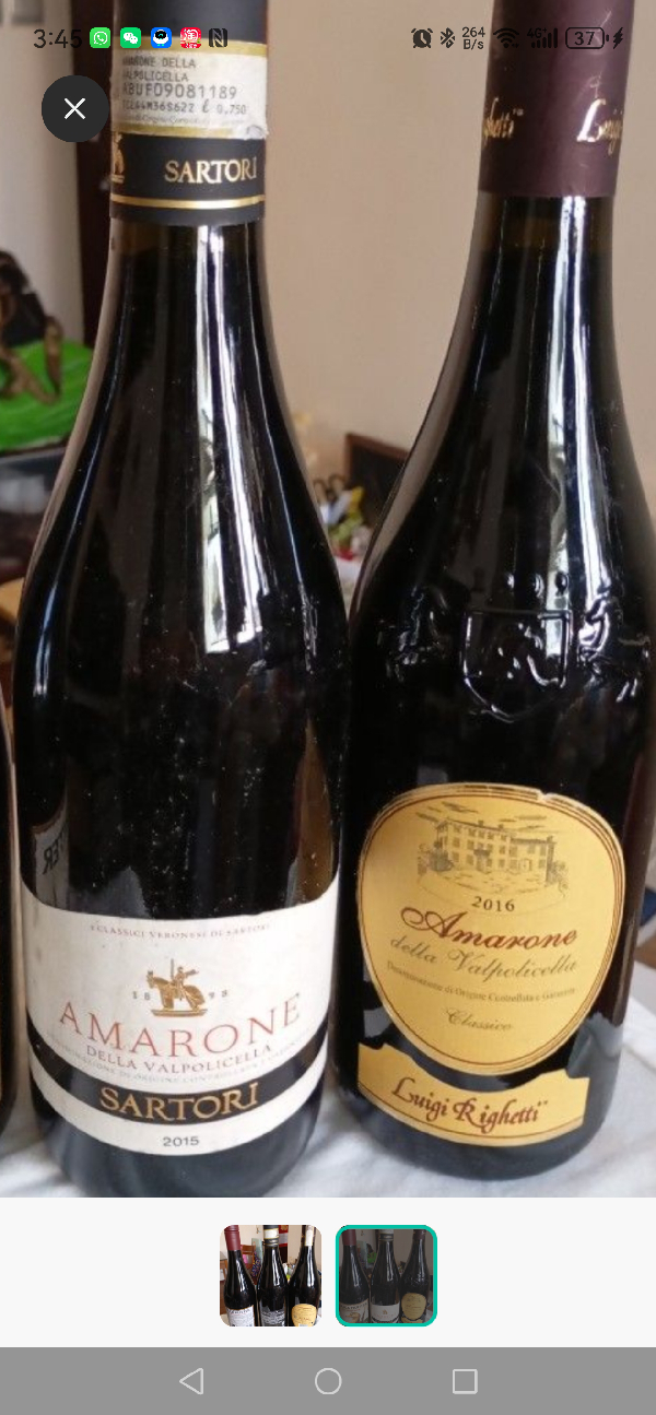 Amarone della Valpolicella - Image 1