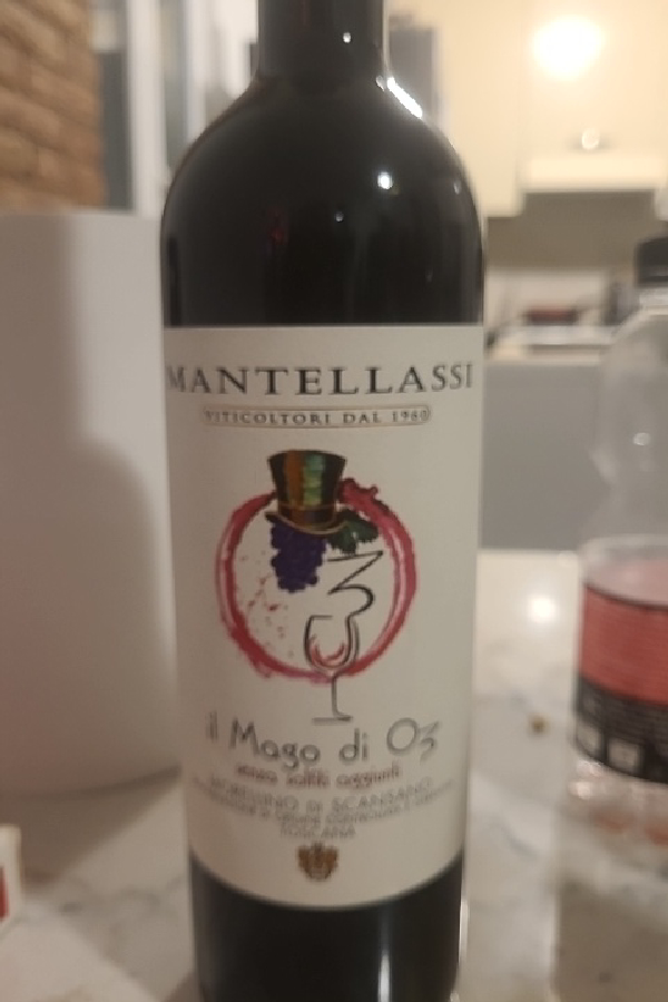 Il Mago di Oz - Image 1