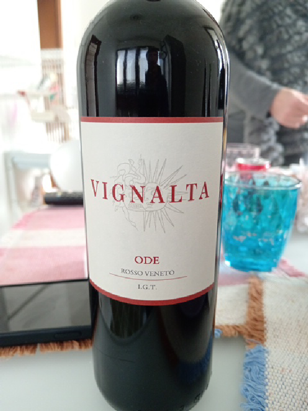Ode Rosso Veneto IGT - Image 1